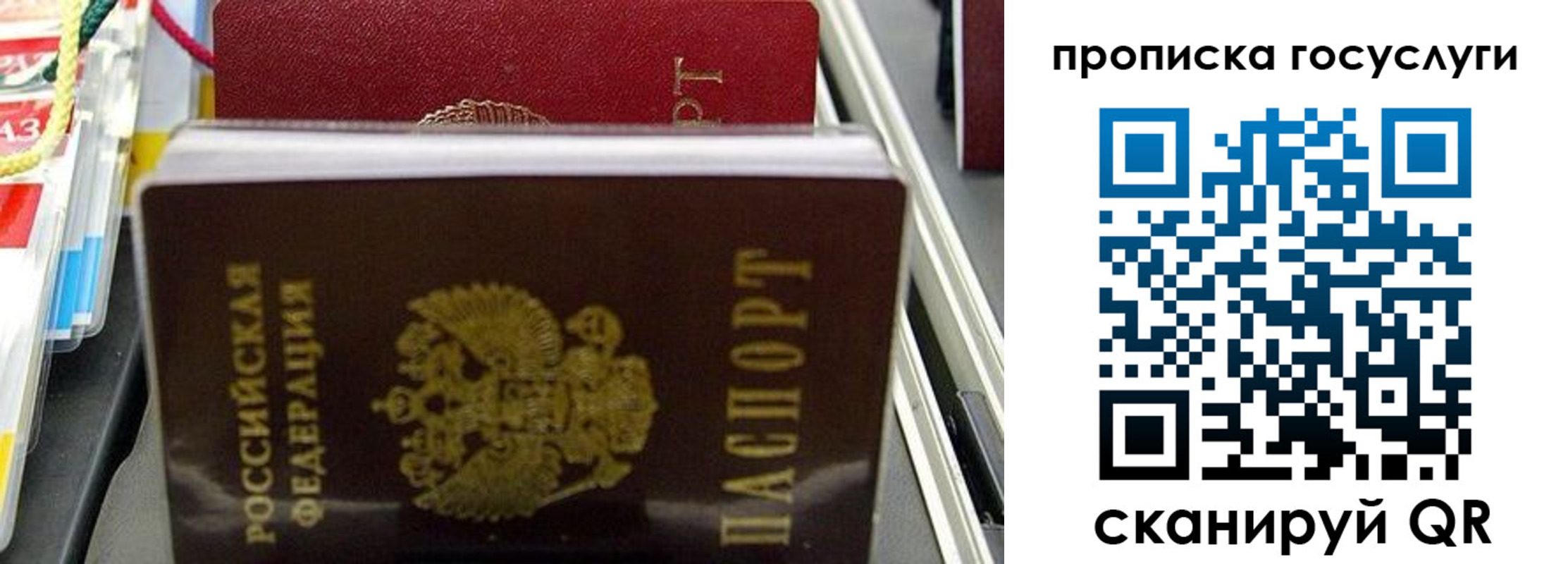 где прописаться в Большом Камне